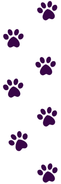 paw prints