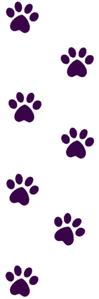 paw prints